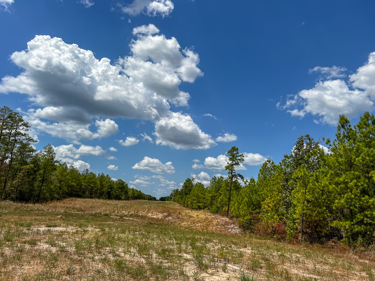 00 Off Lost Indian Camp Road Property Photo 8