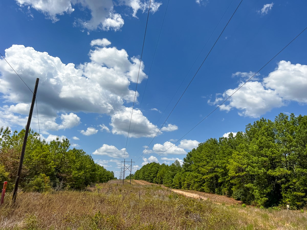 00 Off Lost Indian Camp Road Property Photo 14
