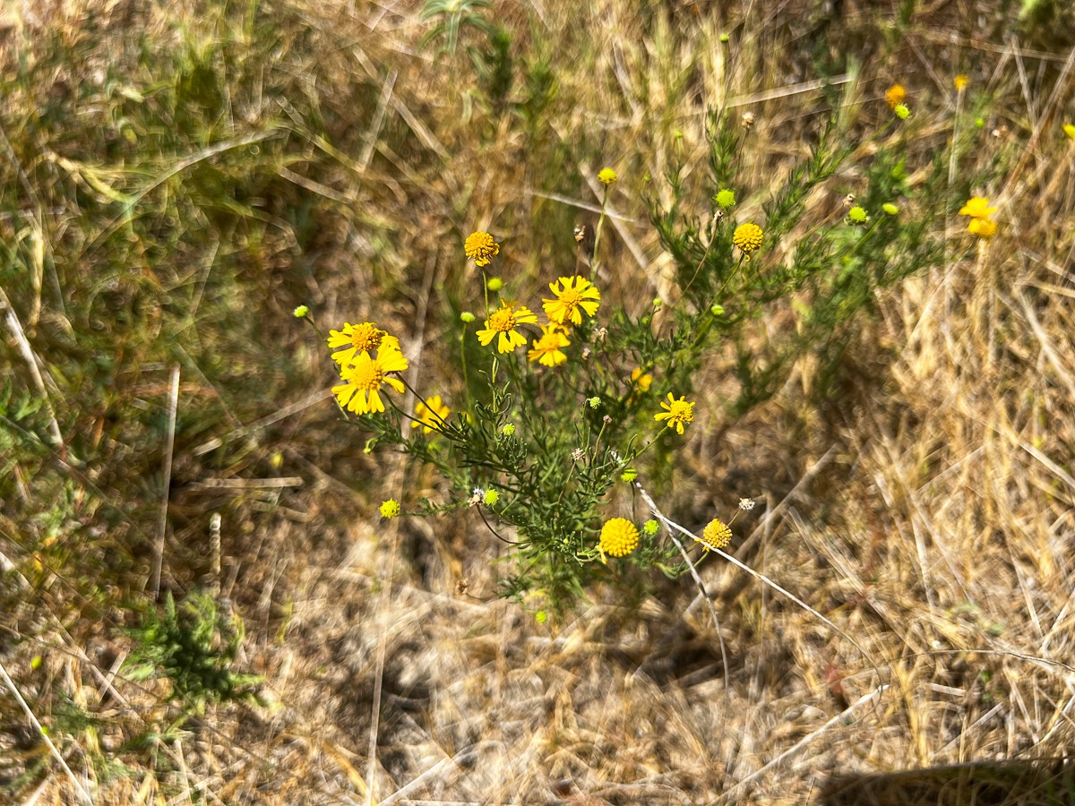 00 Off Lost Indian Camp Road Property Photo 15