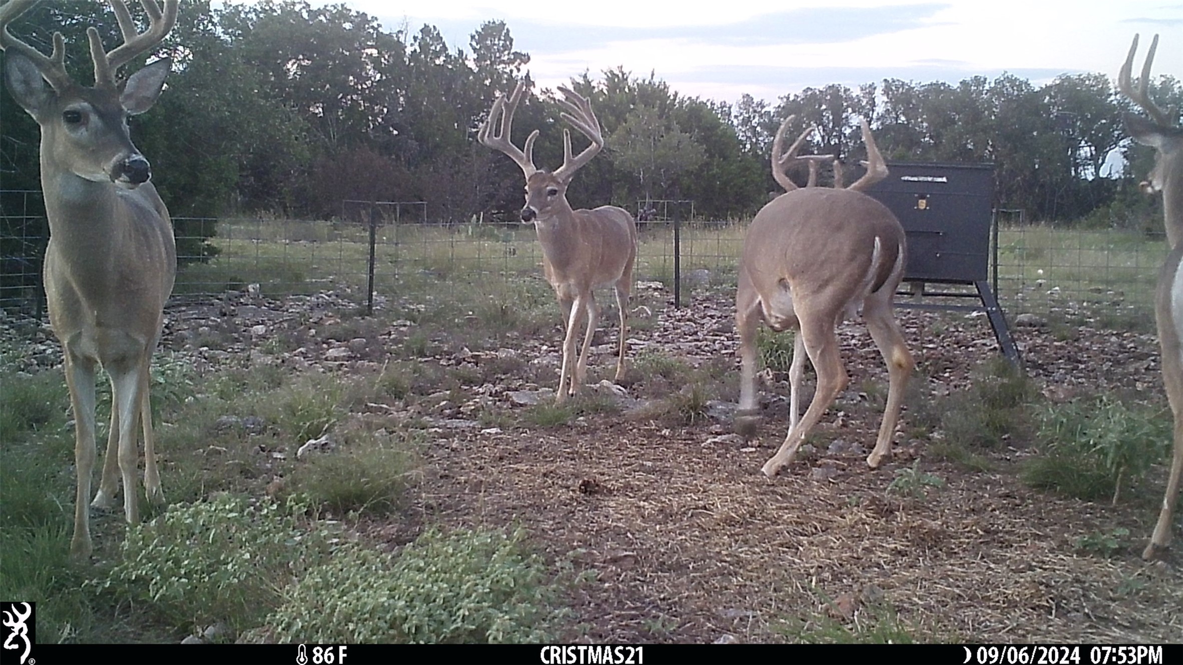 Lot 15 Contrary Creek Ranches Property Photo 1