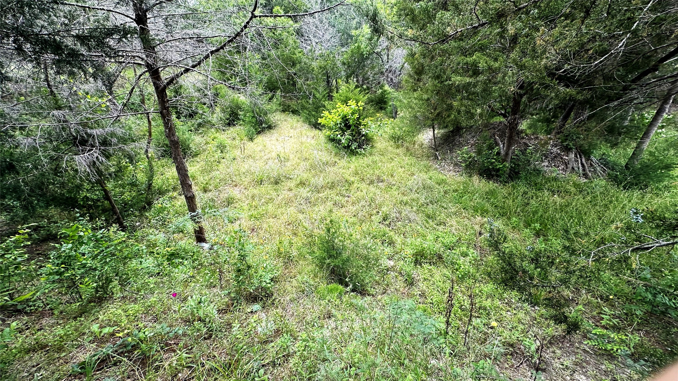 6624 Misty Lane Property Photo 2
