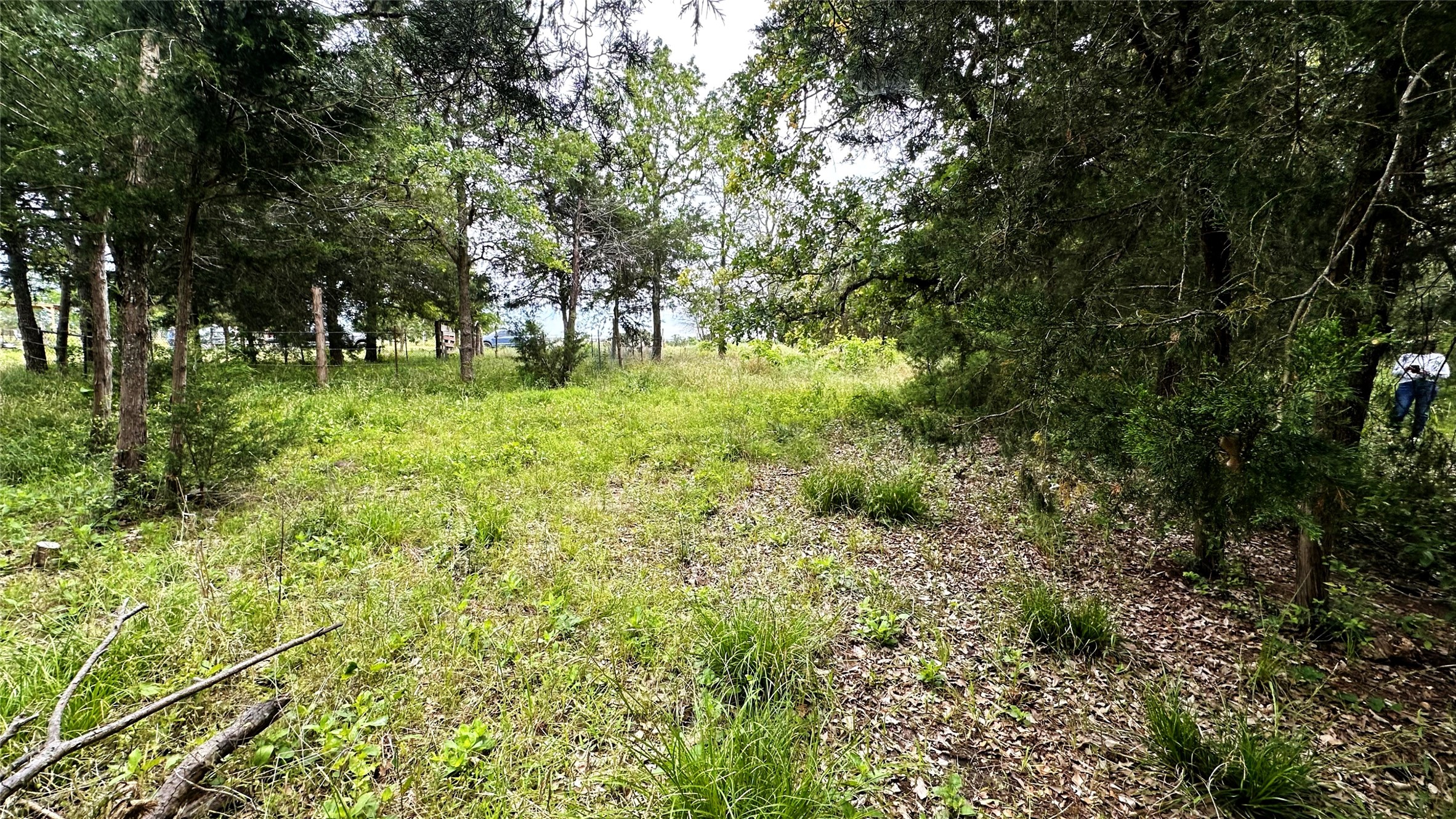 6624 Misty Lane Property Photo 7