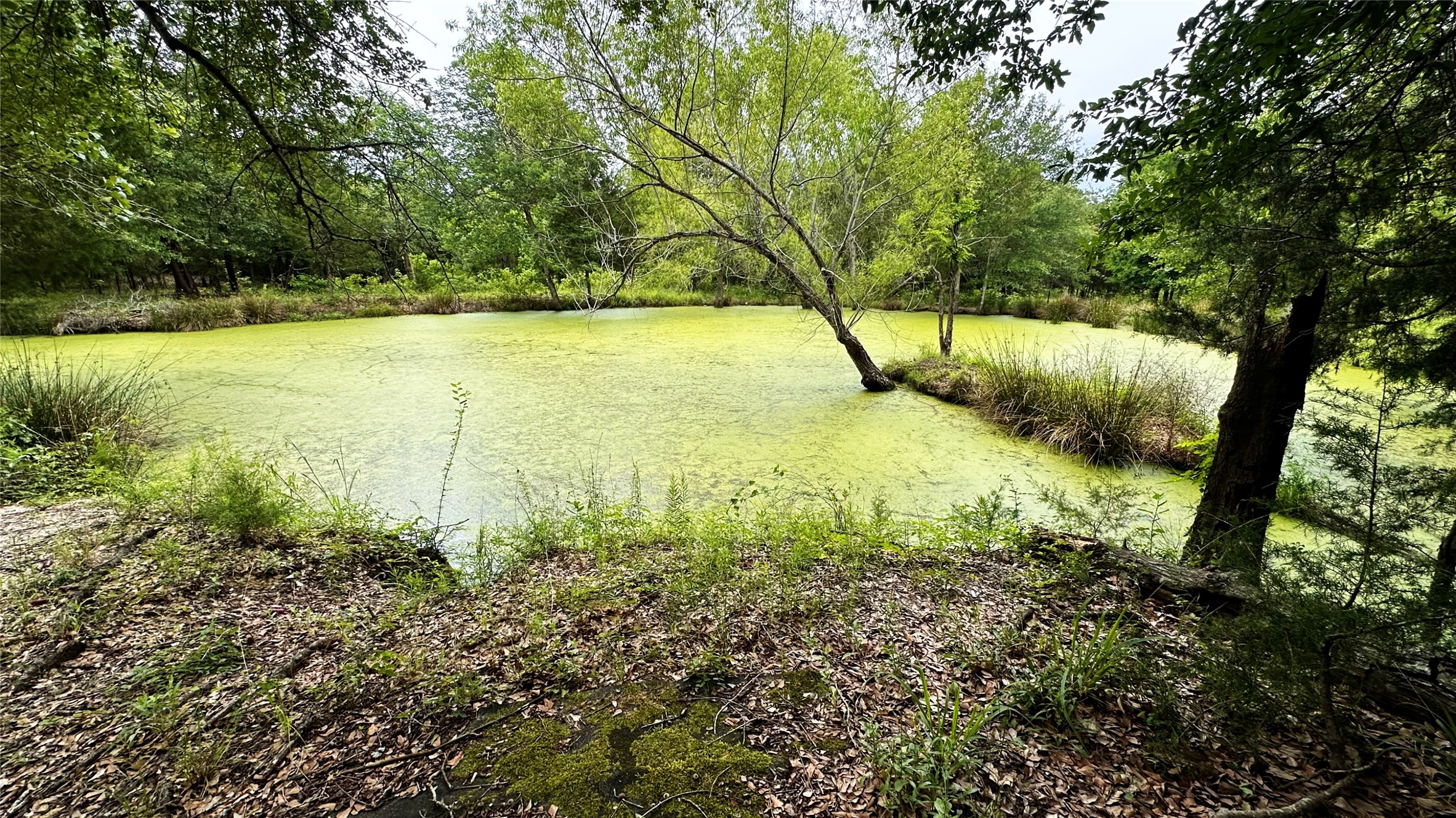 6624 Misty Lane Property Photo 8
