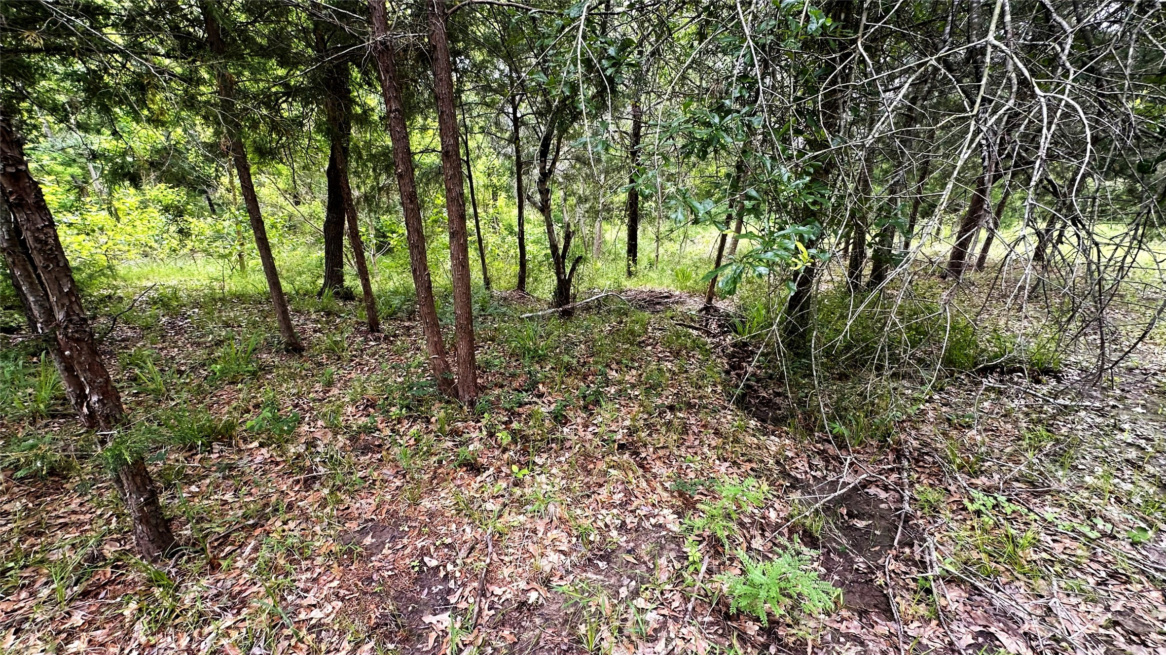 6624 Misty Lane Property Photo 9
