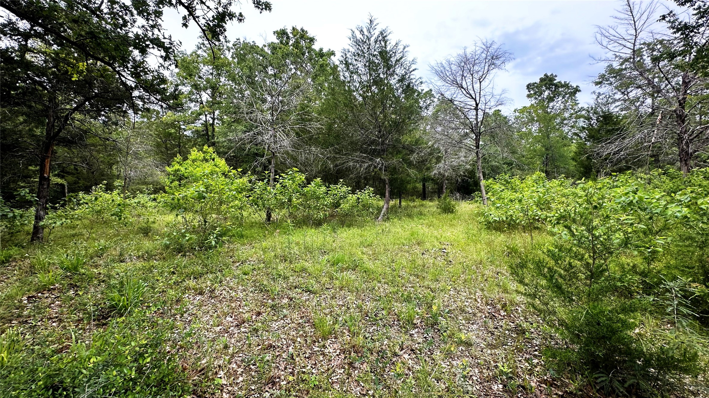 6624 Misty Lane Property Photo 10
