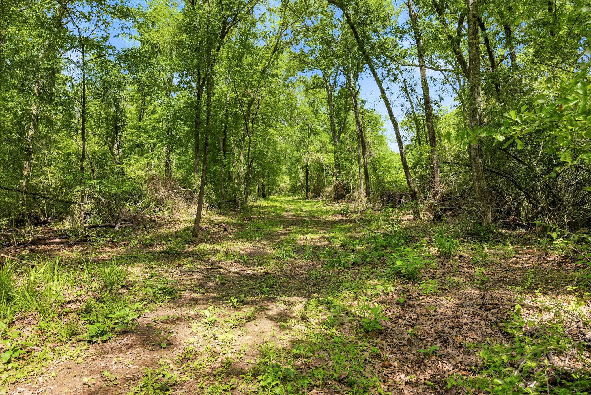 3457 County Road 364 Property Photo 27