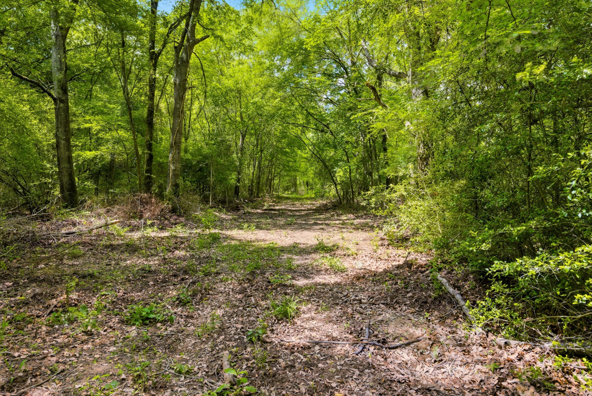 3457 County Road 364 Property Photo 29