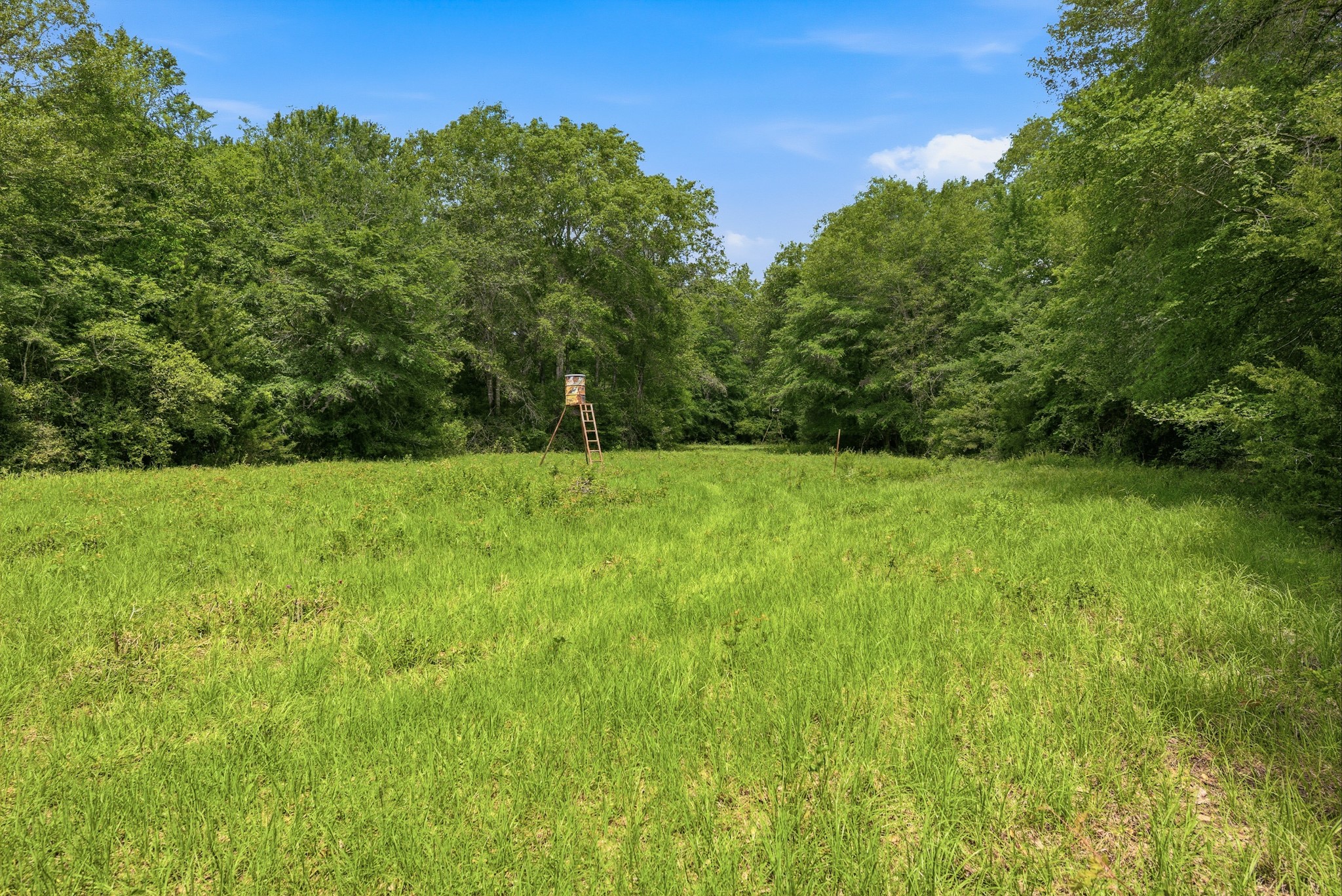 3457 County Road 364 Property Photo 32