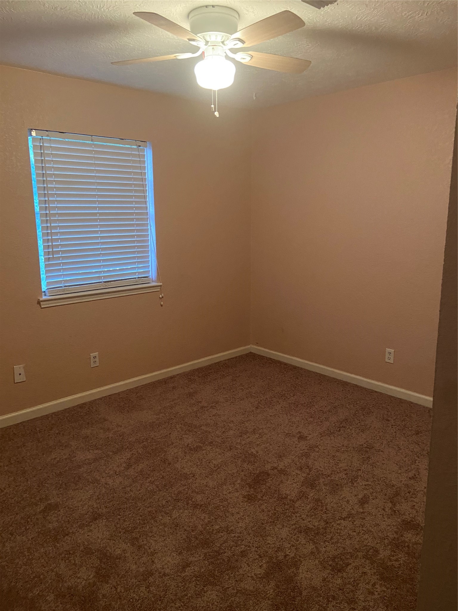 1711 Canary Circle Property Photo 6