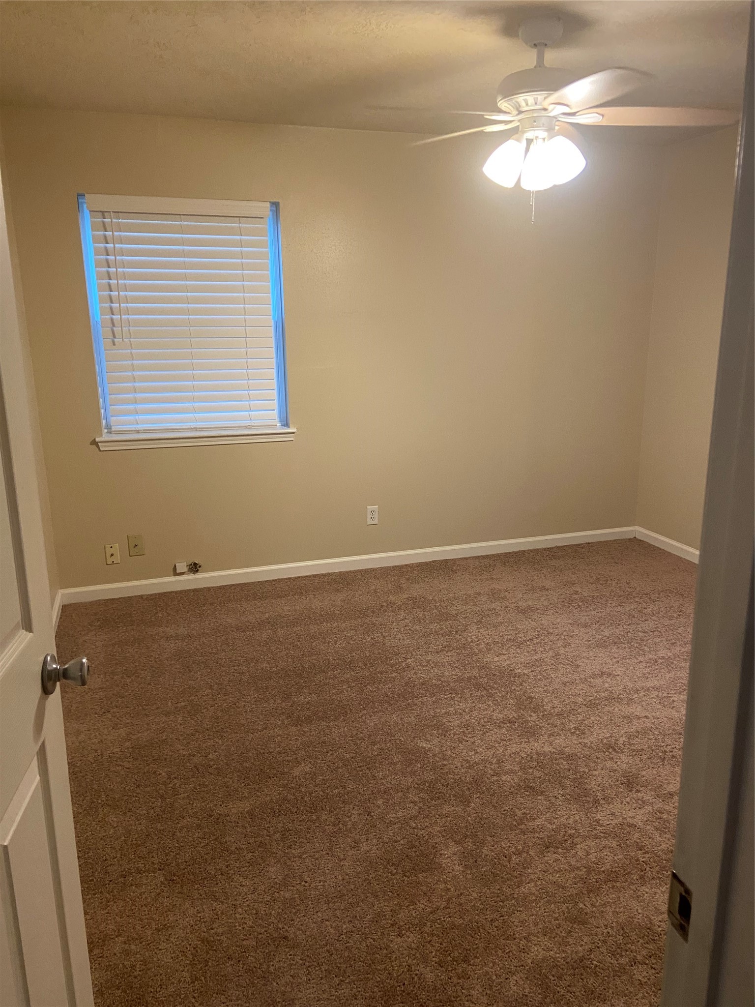 1711 Canary Circle Property Photo 7