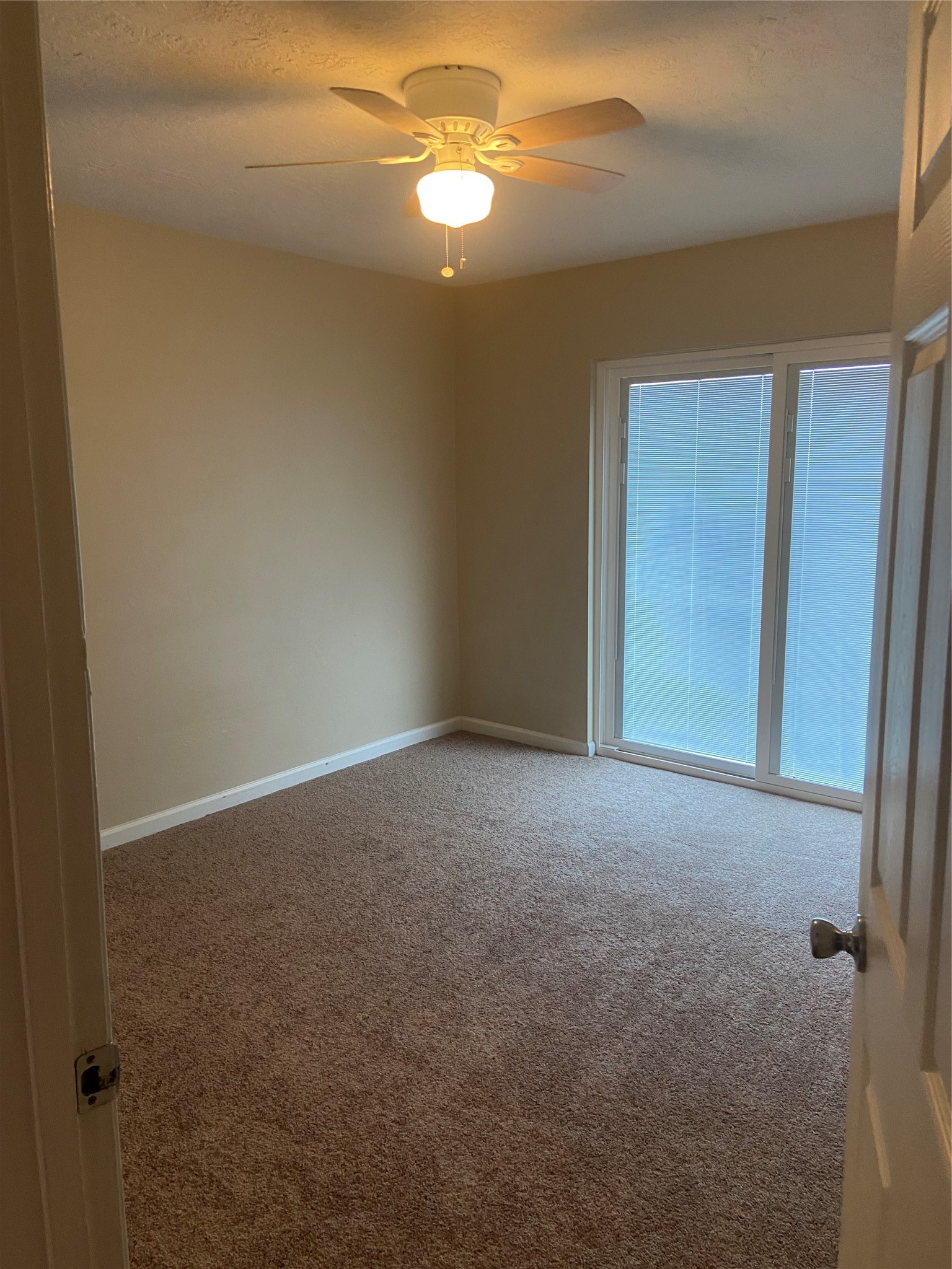 1711 Canary Circle Property Photo 9