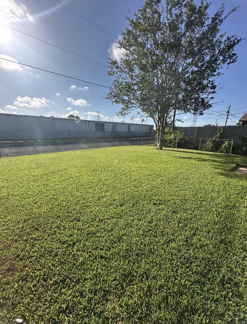 1711 Canary Circle Property Photo 14