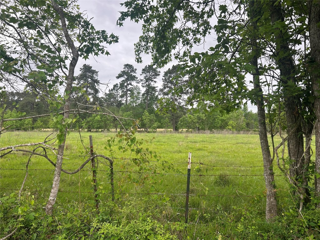Lot 2 Minnie West Rd Property Photo 5