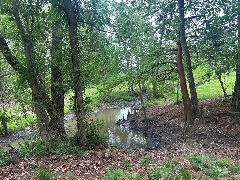 Lot 2 Minnie West Rd Property Photo 7