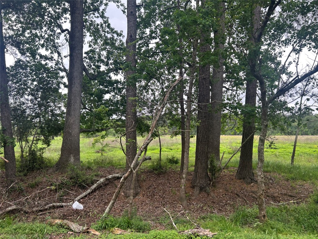 Lot 2 Minnie West Rd Property Photo 8