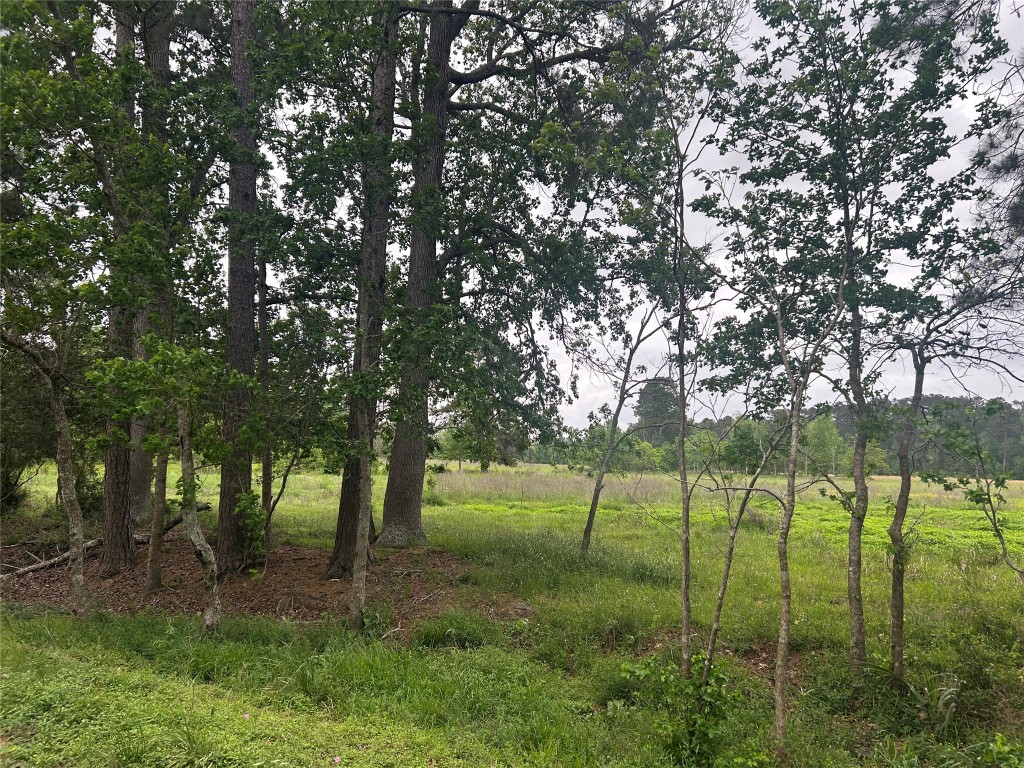 Lot 2 Minnie West Rd Property Photo 9