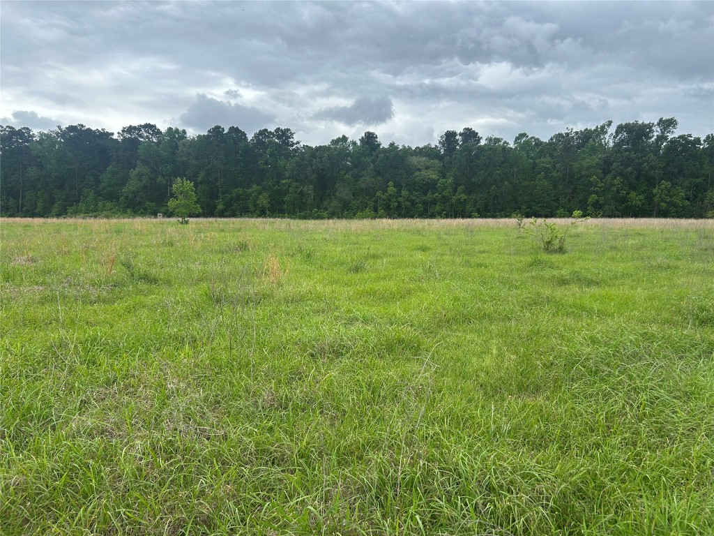 Lot 2 Minnie West Rd Property Photo 10