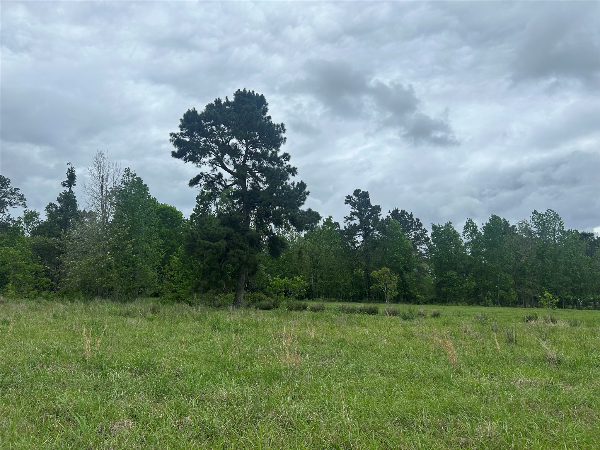 Lot 2 Minnie West Rd Property Photo 11
