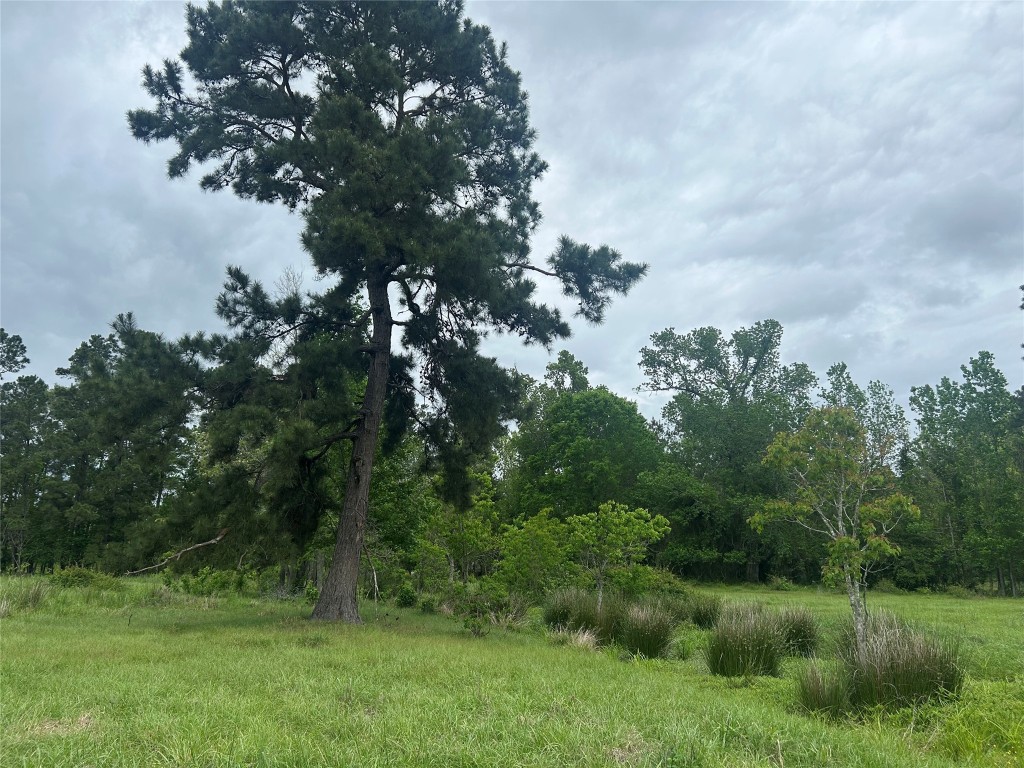 Lot 2 Minnie West Rd Property Photo 12