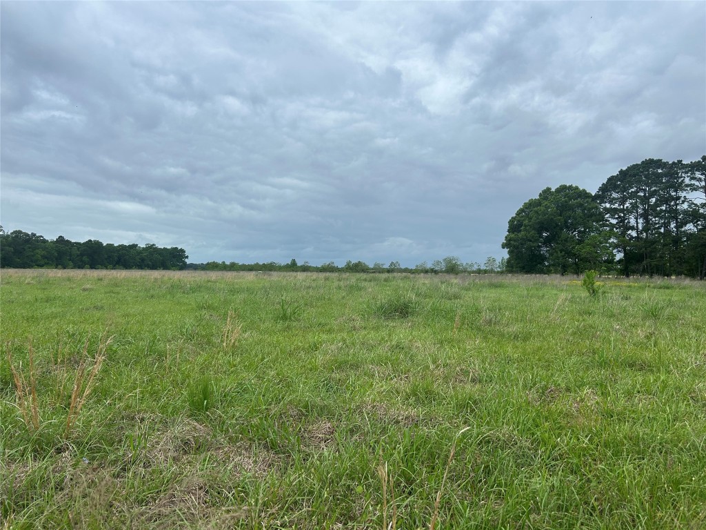 Lot 2 Minnie West Rd Property Photo 13
