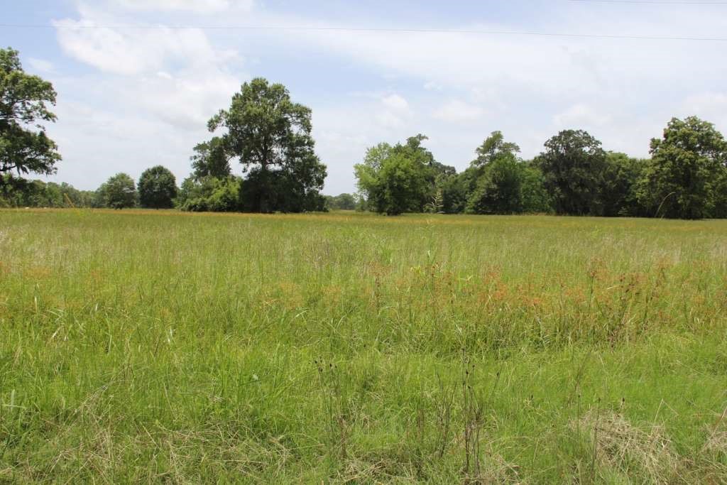 368 Pine Ridge Drive Property Photo 23