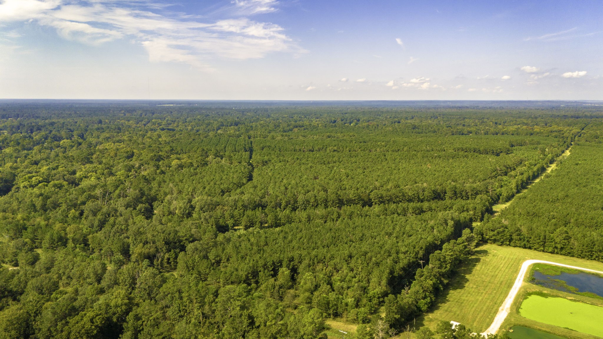 Tbd Garner Rd Property Photo 18