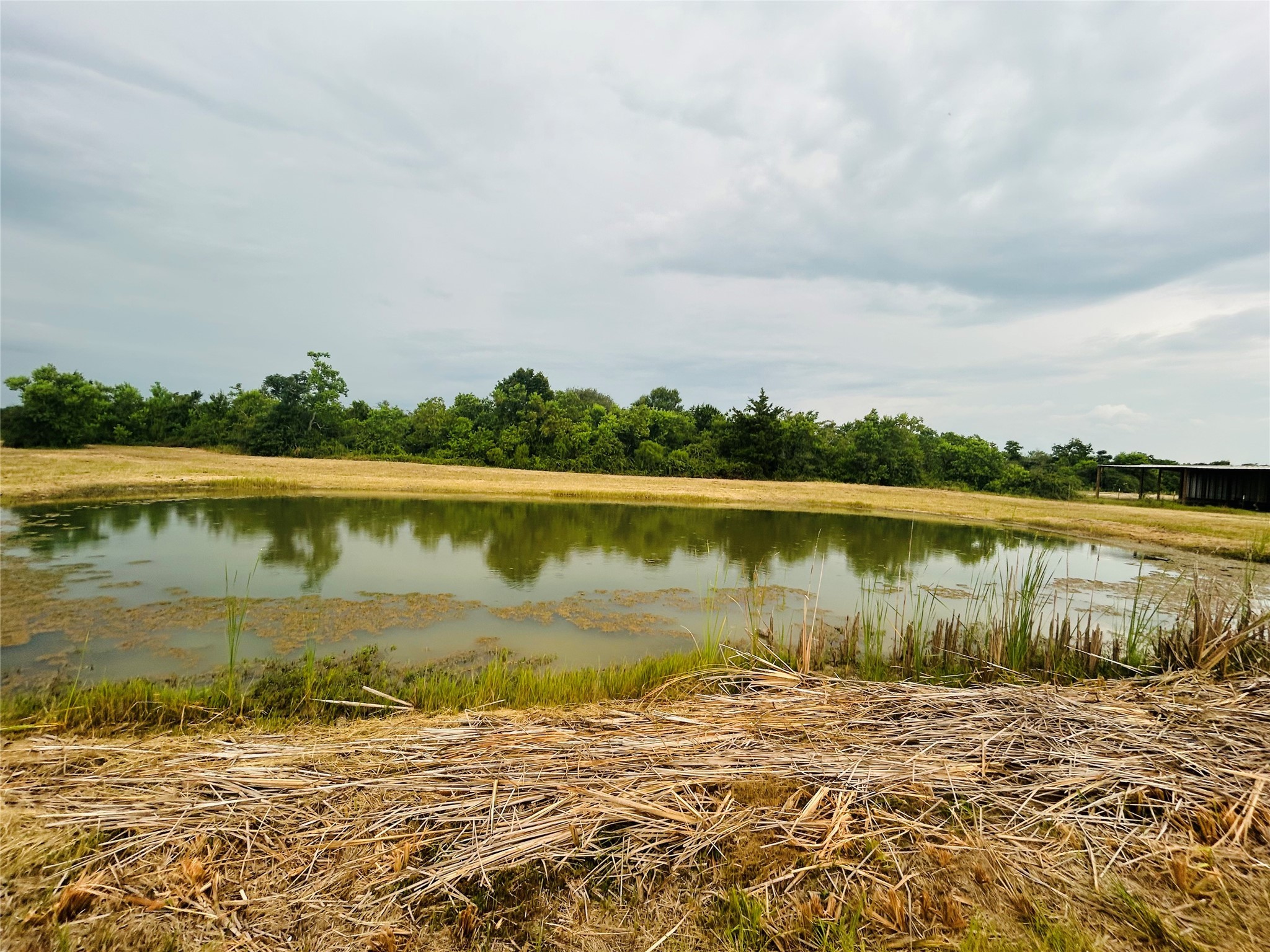 1240 Crooked Road Property Photo 22