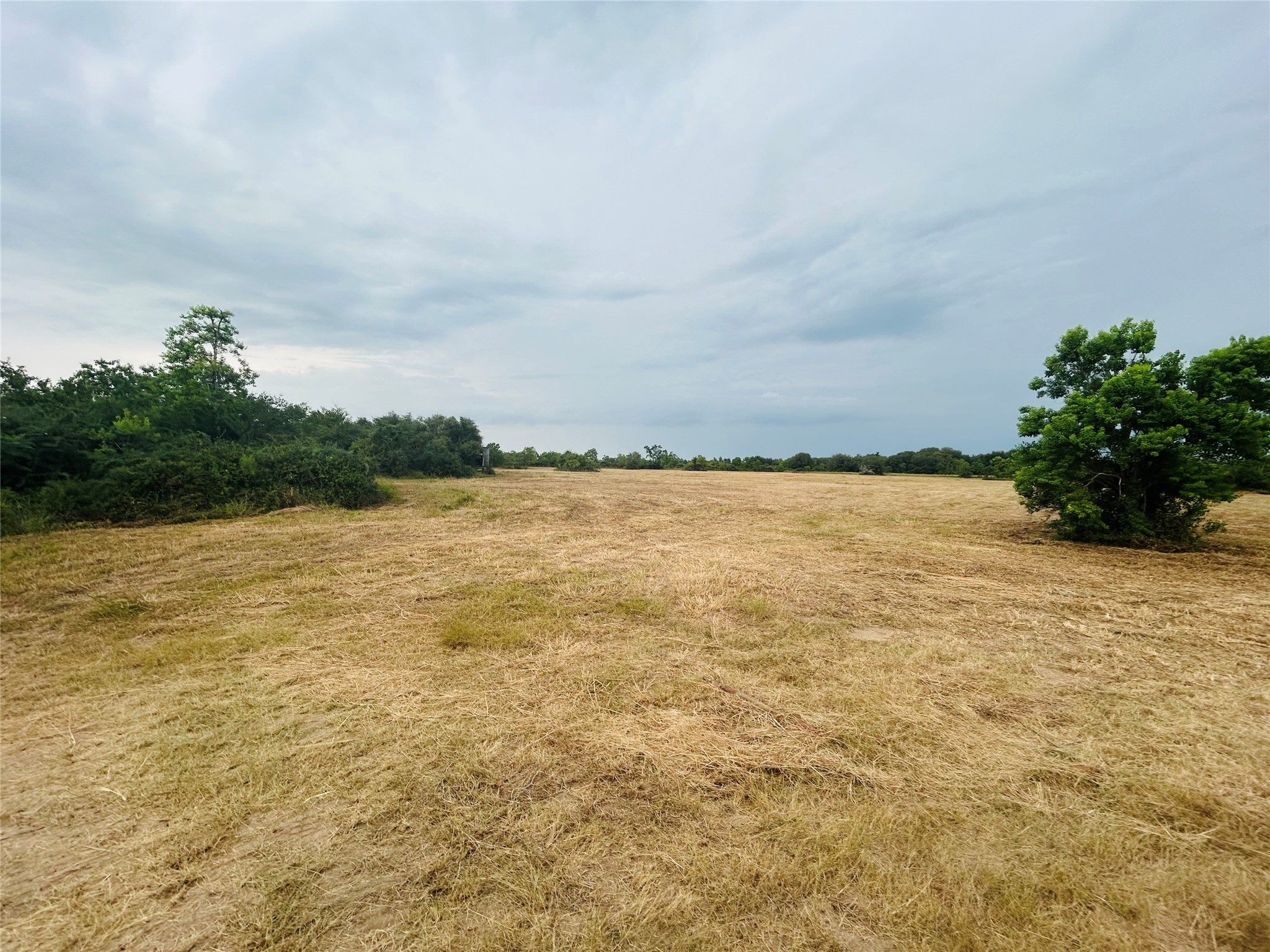 1240 Crooked Road Property Photo 25