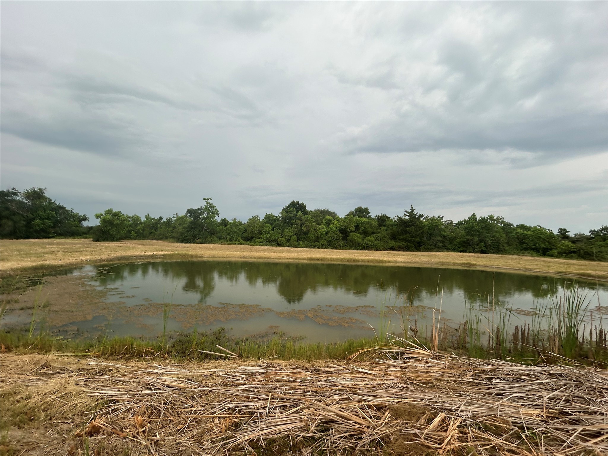 1240 Crooked Road Property Photo 26