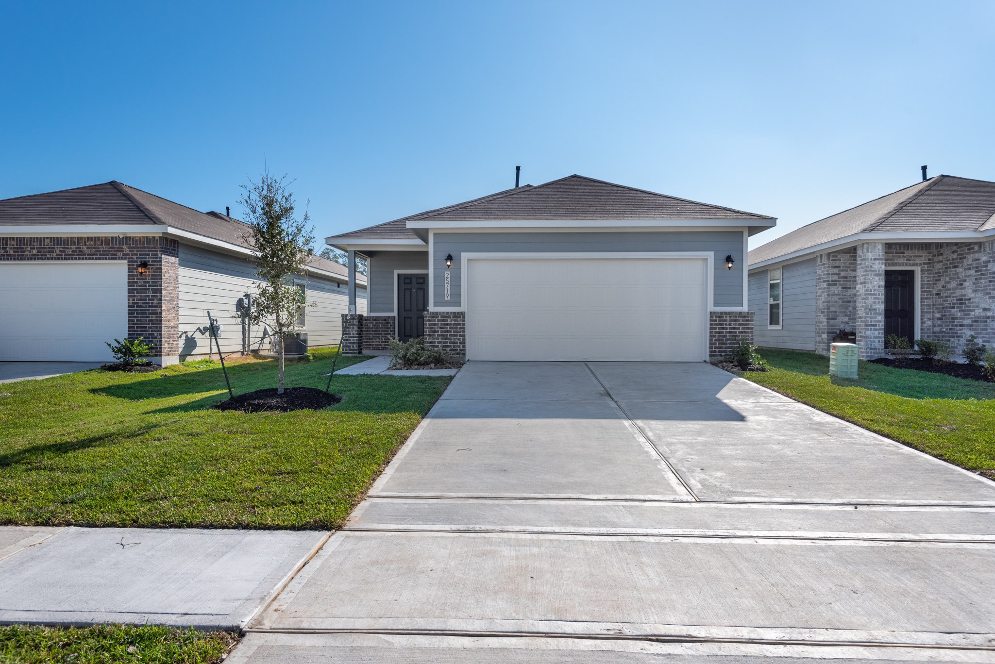 25719 Northpark Palm Drive Property Photo 1
