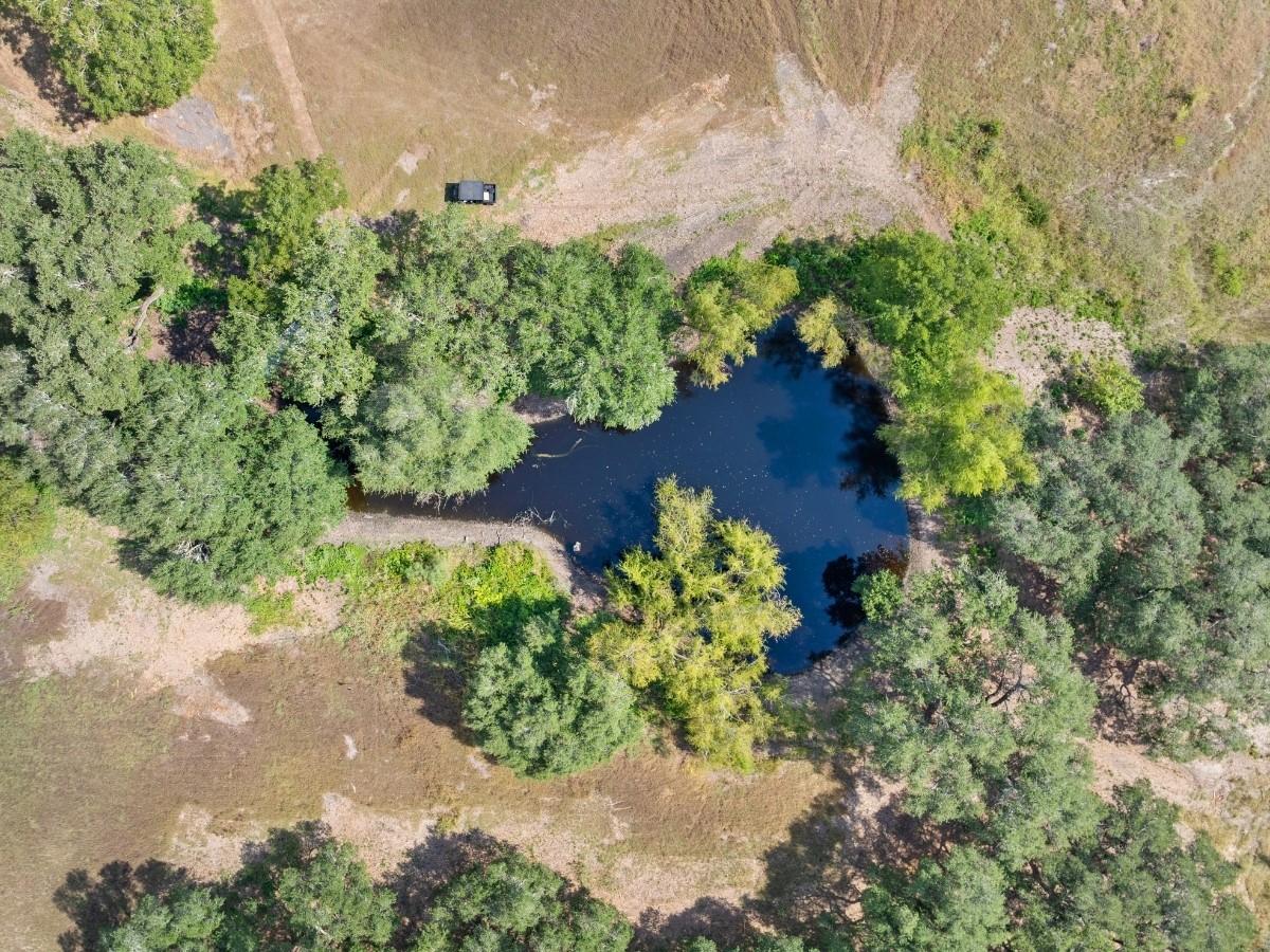 3147 Fm 956 Property Photo 11