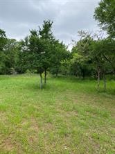 776 8th Street Property Photo 4