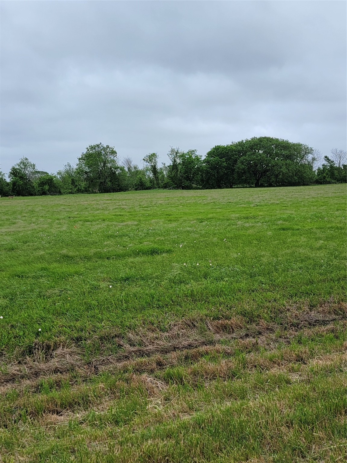 0 Brahman Trail Trail Property Photo
