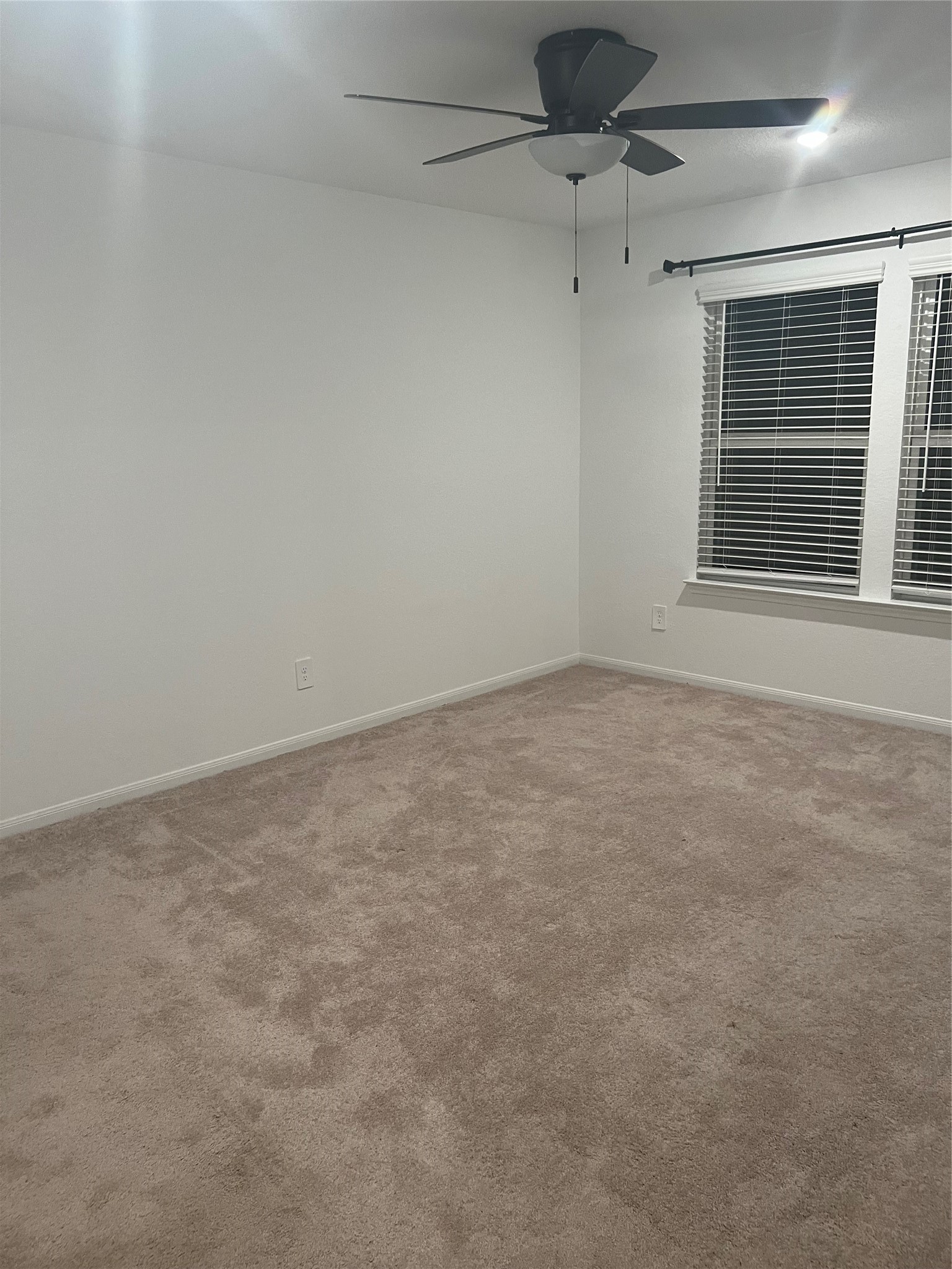 5414 Balerna Street Property Photo 10