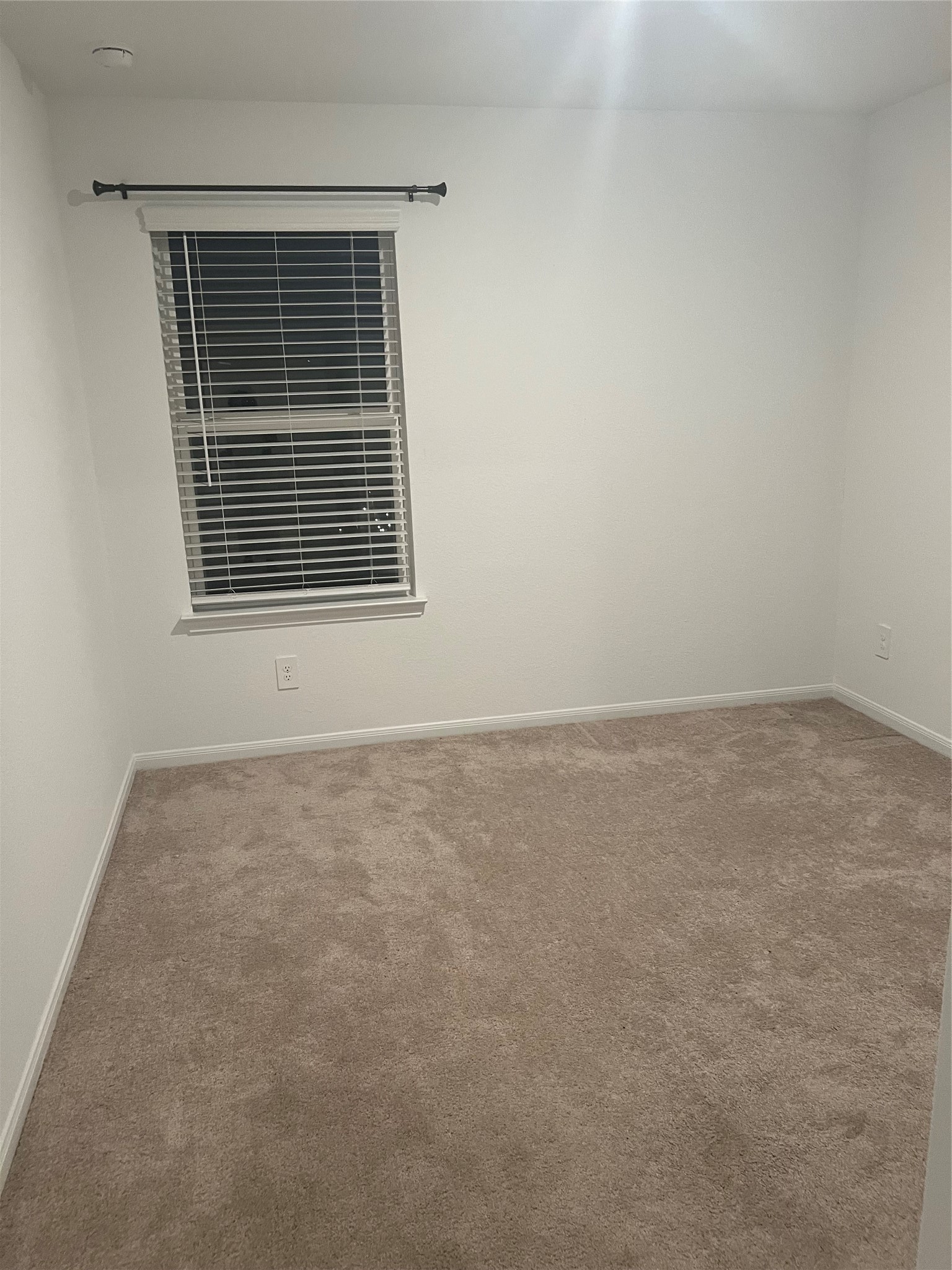 5414 Balerna Street Property Photo 15
