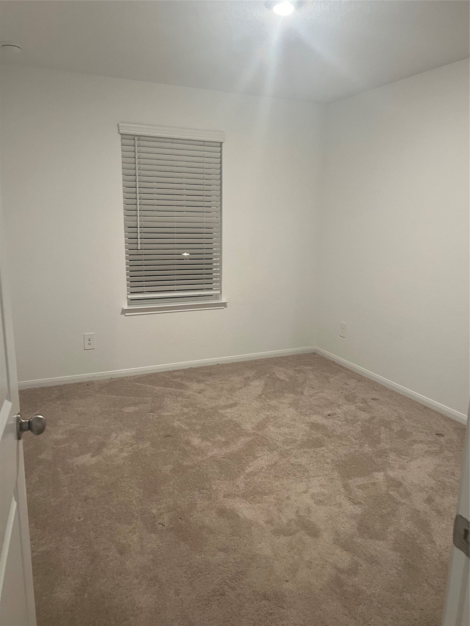 5414 Balerna Street Property Photo 17
