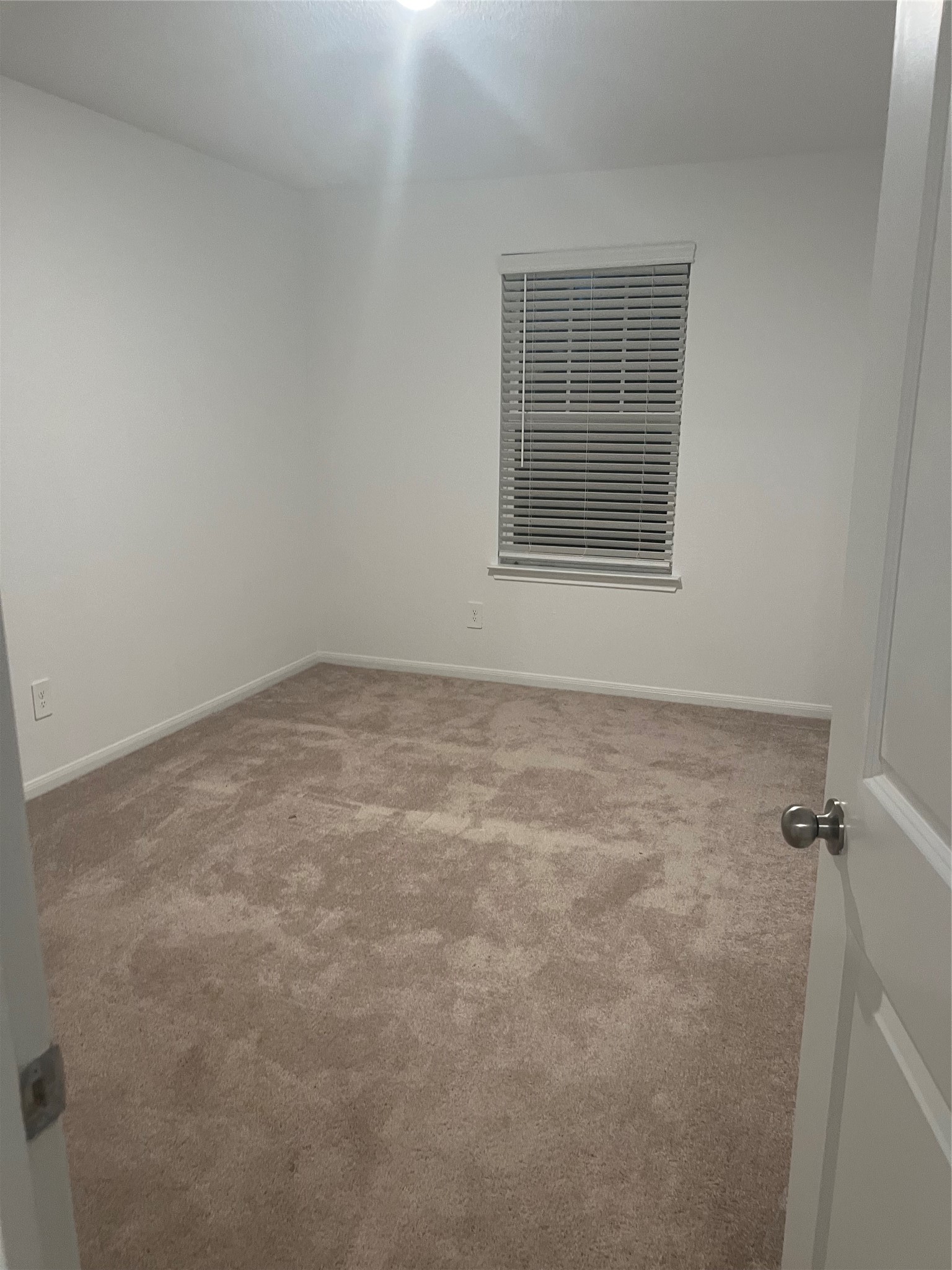 5414 Balerna Street Property Photo 18
