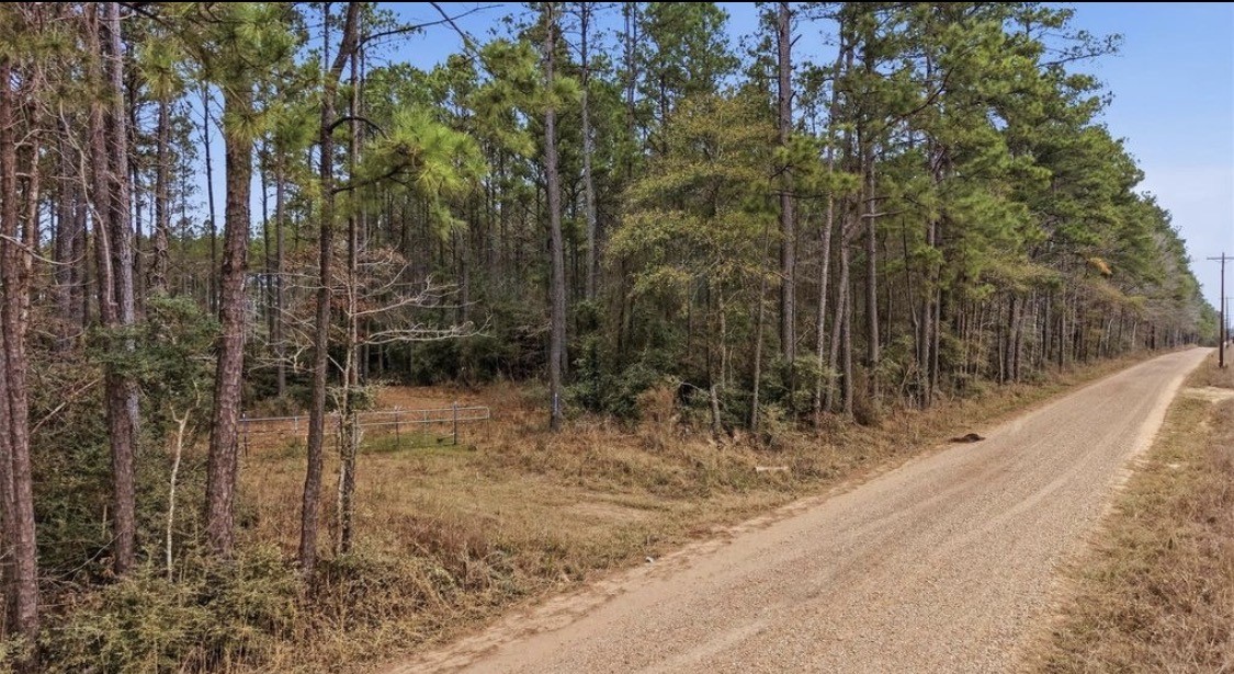 1208 Holly Grove Road Property Photo 5