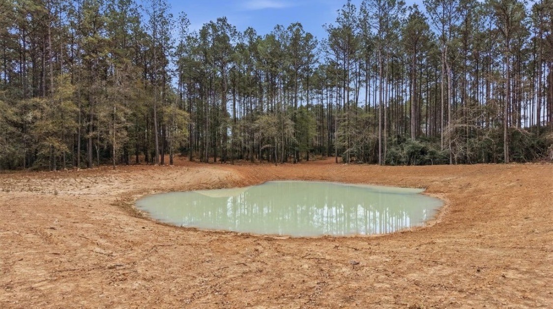 1208 Holly Grove Road Property Photo 7