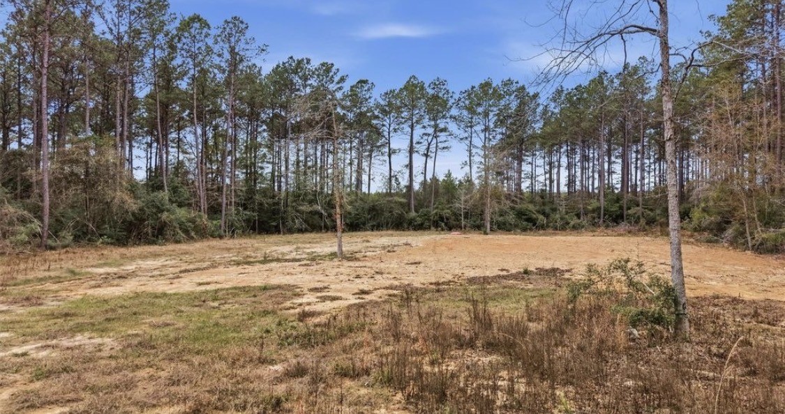 1208 Holly Grove Road Property Photo 13