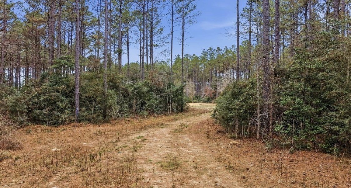 1208 Holly Grove Road Property Photo 14