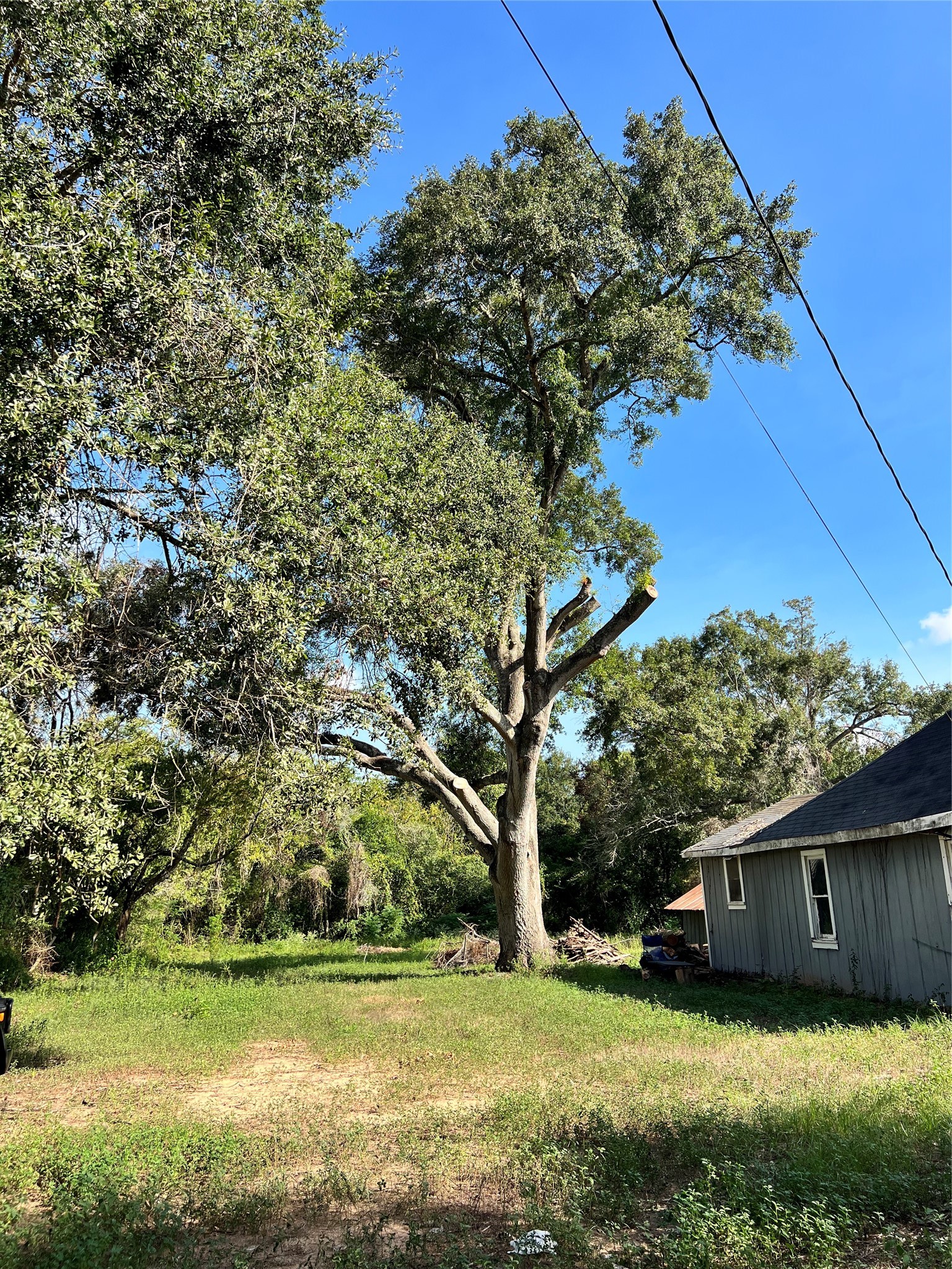 726 Travis Street Property Photo 7