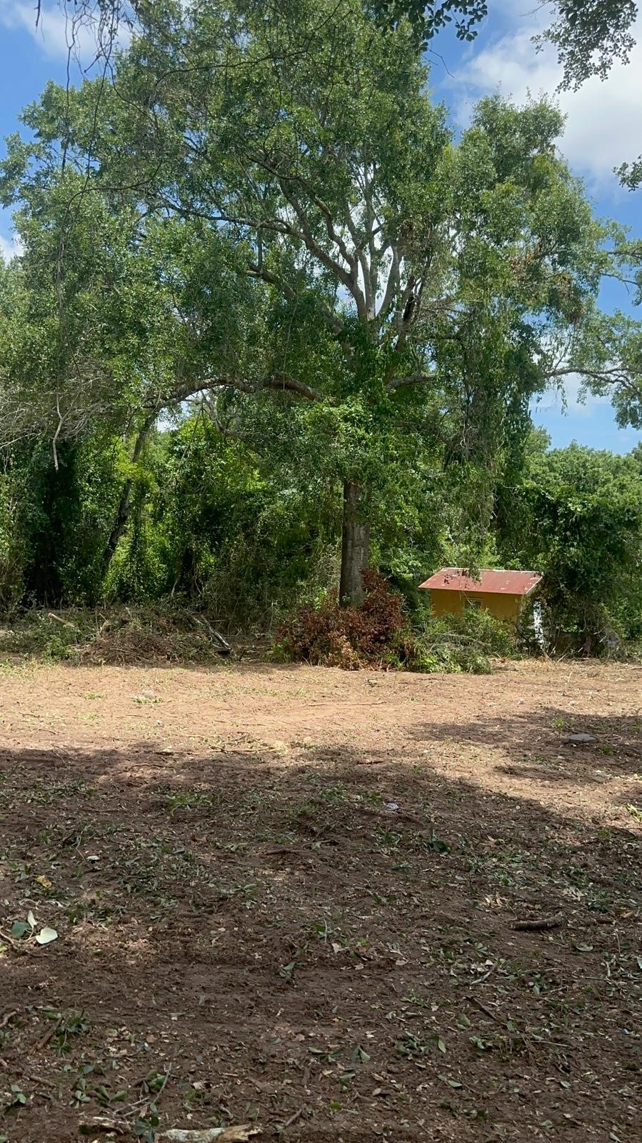 726 Travis Street Property Photo 8