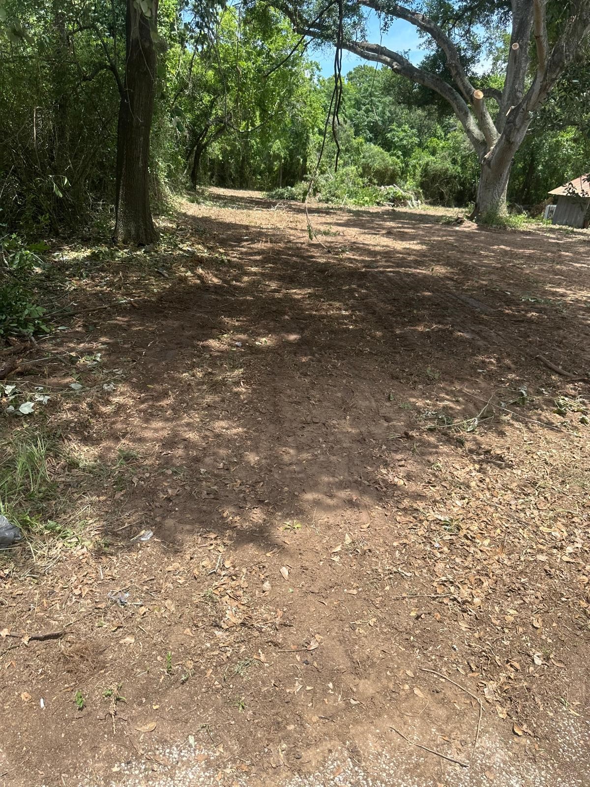 726 Travis Street Property Photo 11