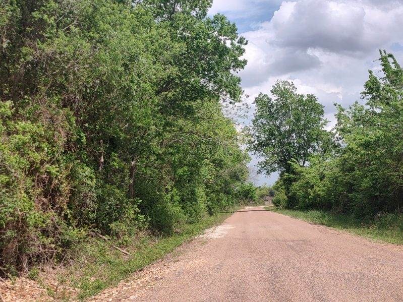 Tbd Cr 328, Tract 2, 10 Acres Property Photo 2
