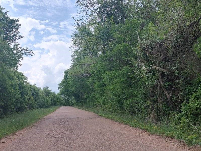 Tbd Cr 328, Tract 2, 10 Acres Property Photo 4