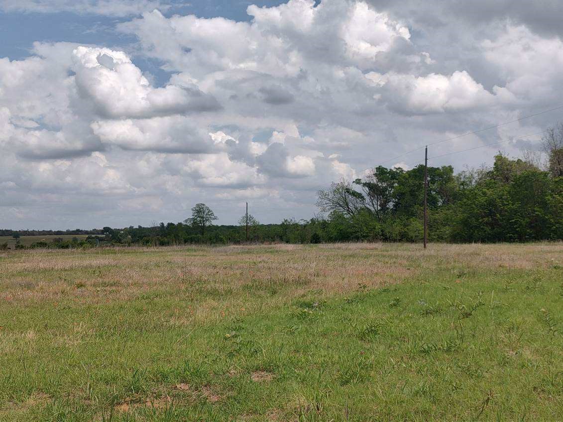 Tbd Cr 328, Tract 2, 10 Acres Property Photo 6