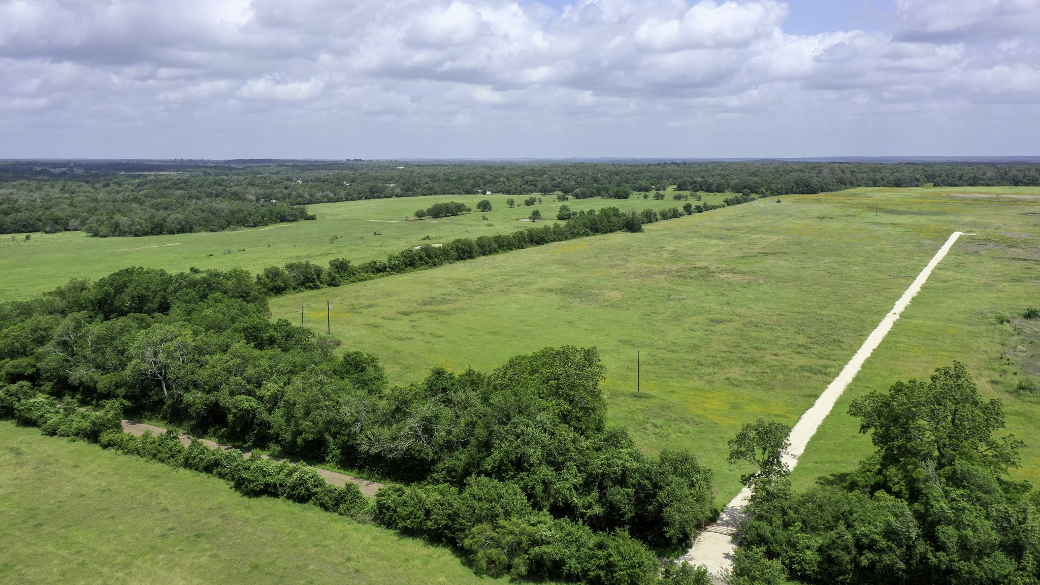 Tbd Cr 328, Tract 2, 10 Acres Property Photo 8