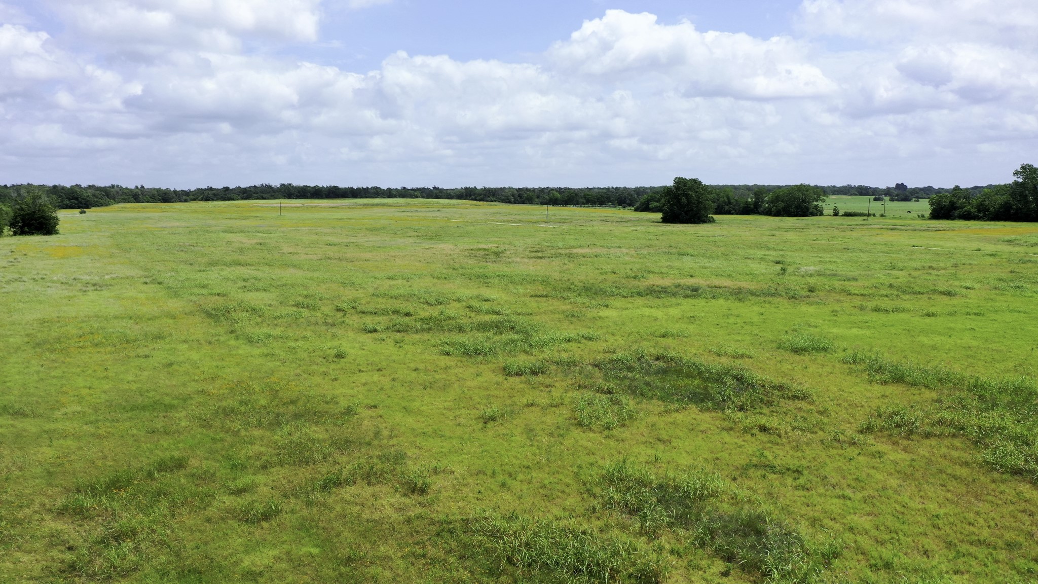 Tbd Cr 328, Tract 2, 10 Acres Property Photo 13