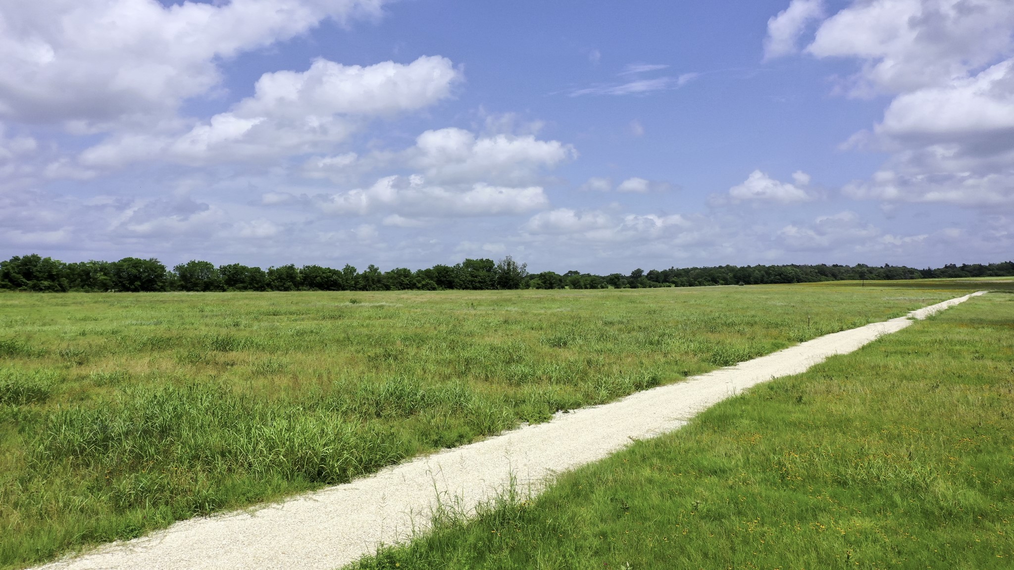 Tbd Cr 328, Tract 2, 10 Acres Property Photo 15